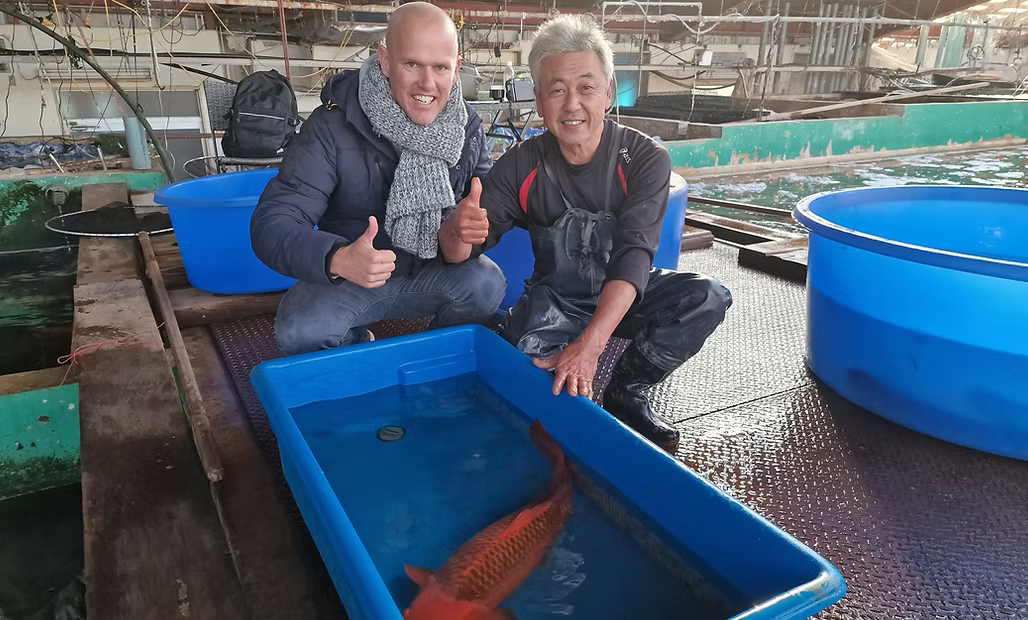 Nieuwste aankopen Japan